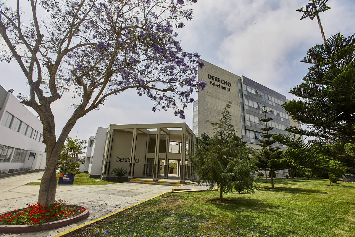  Cu ntos A os Tienes Que Estudiar Para Ser Azafata O Aeromoza 